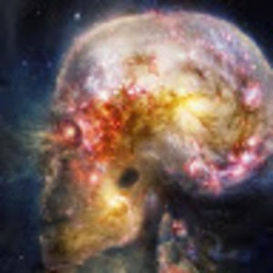 Meet your Posher, Suleida